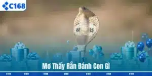 Mơ Thấy Rắn Đánh Con Gì